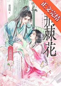 韩大人为爱发疯了吗txt百度