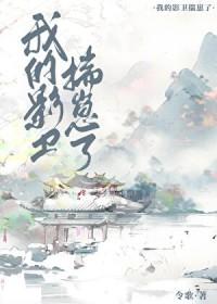 影卫他揣了朕的崽讲的啥