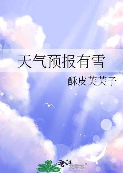 天气预报有雪百度