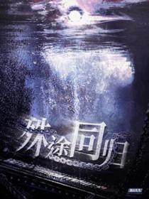 殊途同归美剧