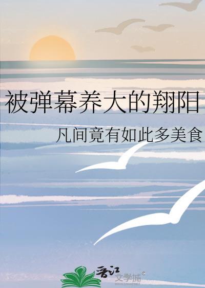 被弹幕养大的翔阳排球txt