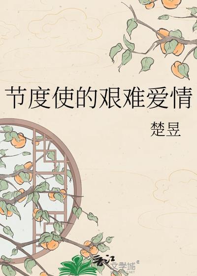 节度使的艰难爱情TXT百度