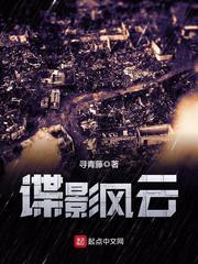 谍影风云无删减txt