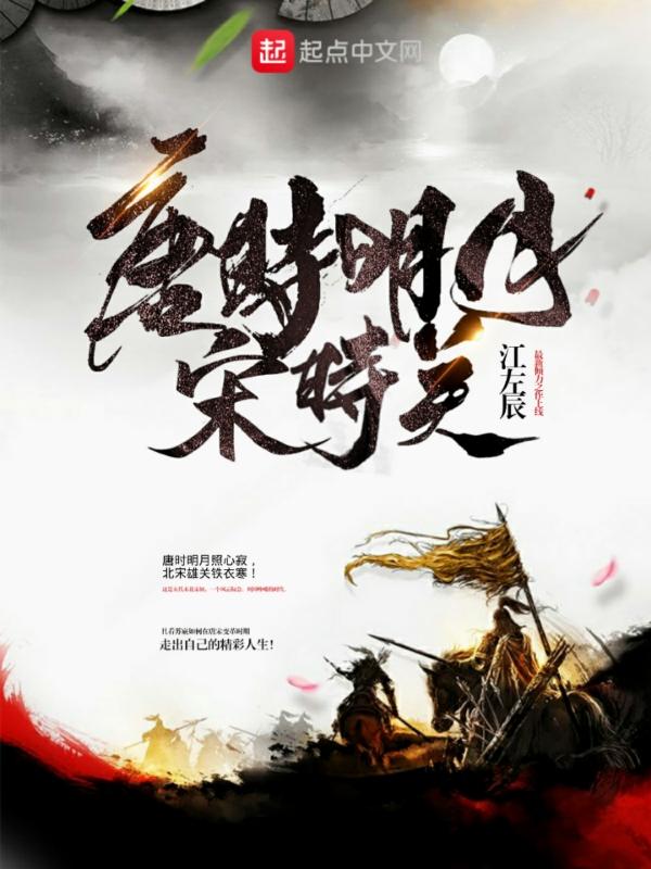 唐时明月宋时关的简介