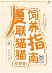复联猫猫饲养指南