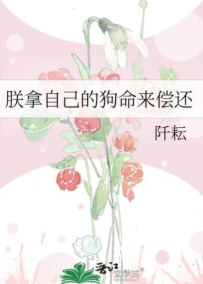 朕拿自己的狗命来偿还